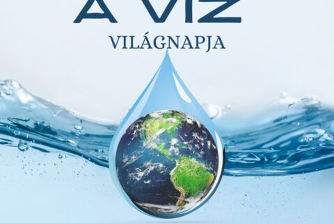 A víz világnapja