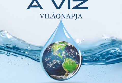A víz világnapja