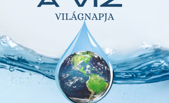A víz világnapja