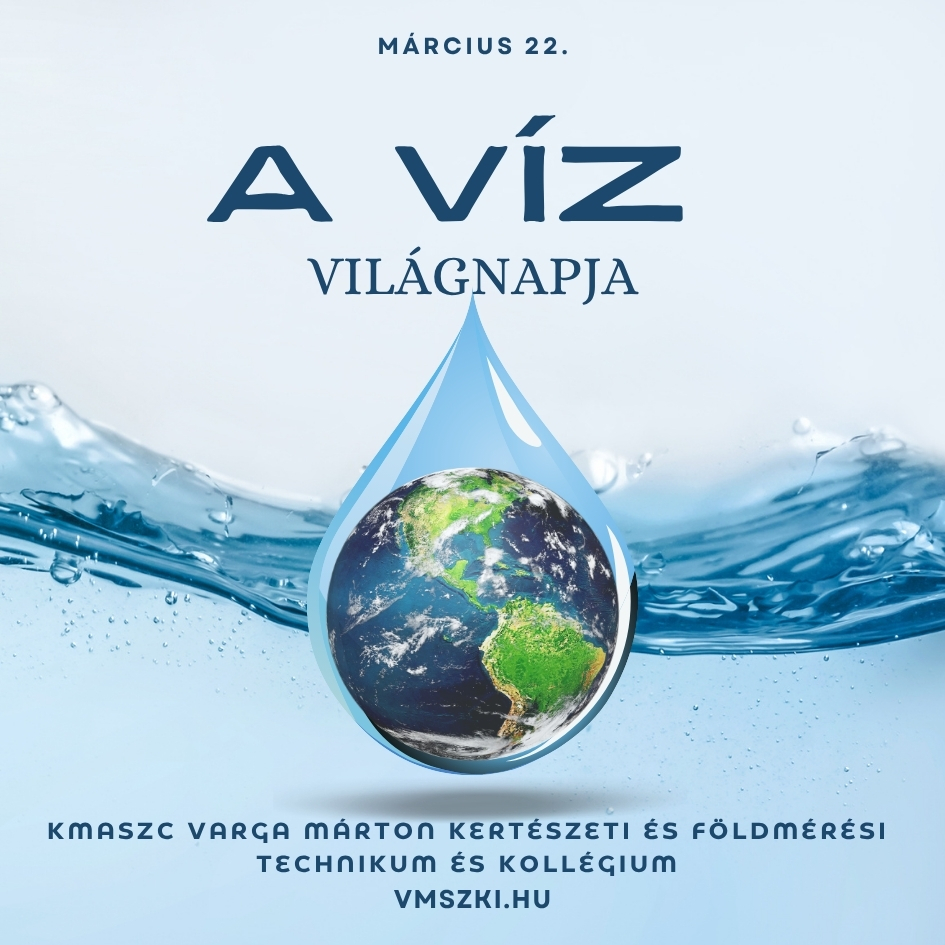 A víz világnapja