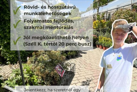 BKC állás2