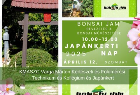 Bonsai - Japánkerti Nap 2025