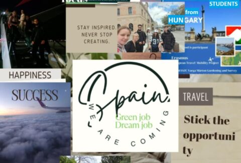 Erasmus green job dream job videóverseny plakát