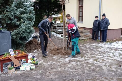 IMG_20241122_134806