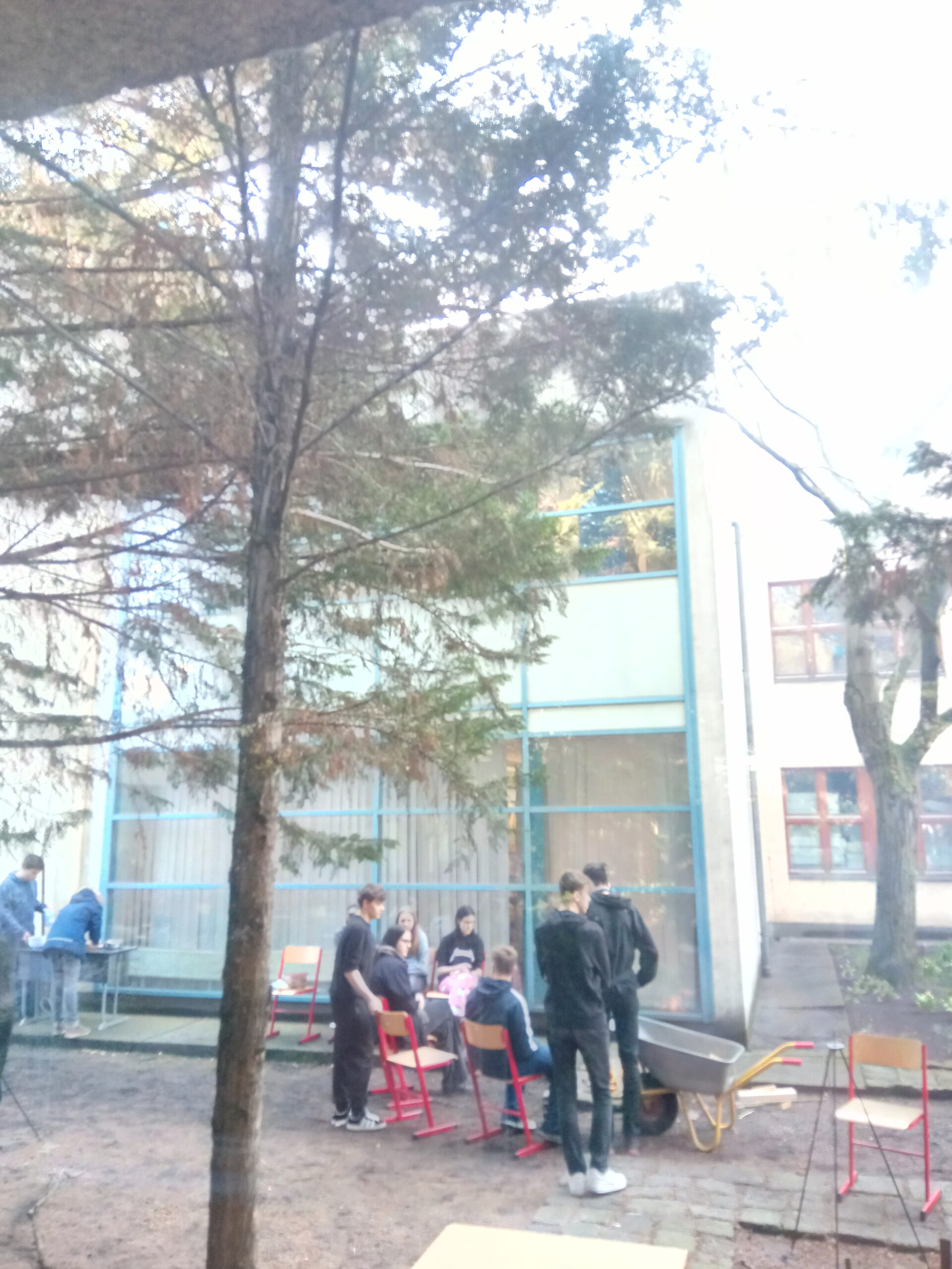 Img 20260401 090454 5