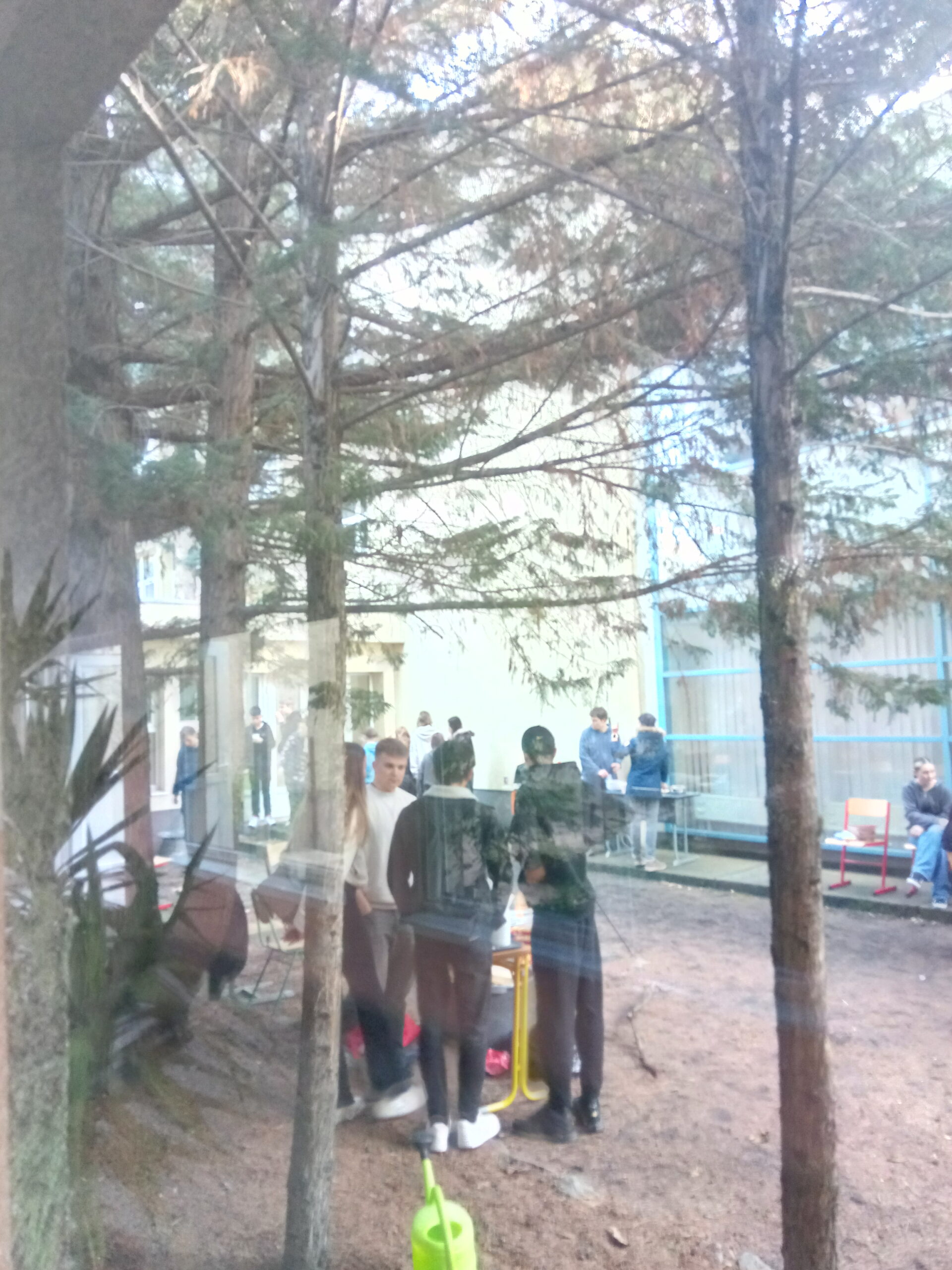 Img 20260401 090500 2 (1)