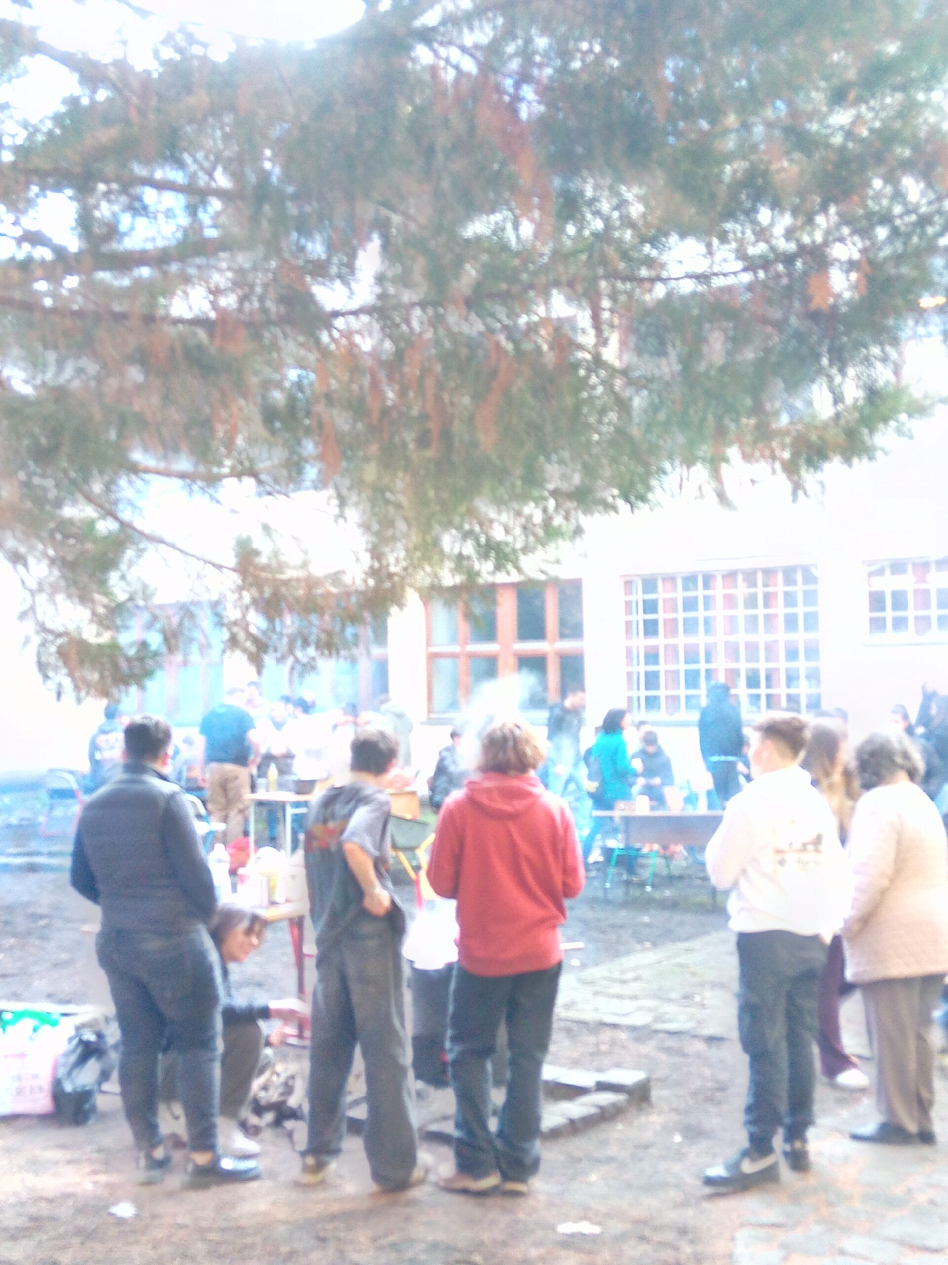 Img 20260401 090542 5