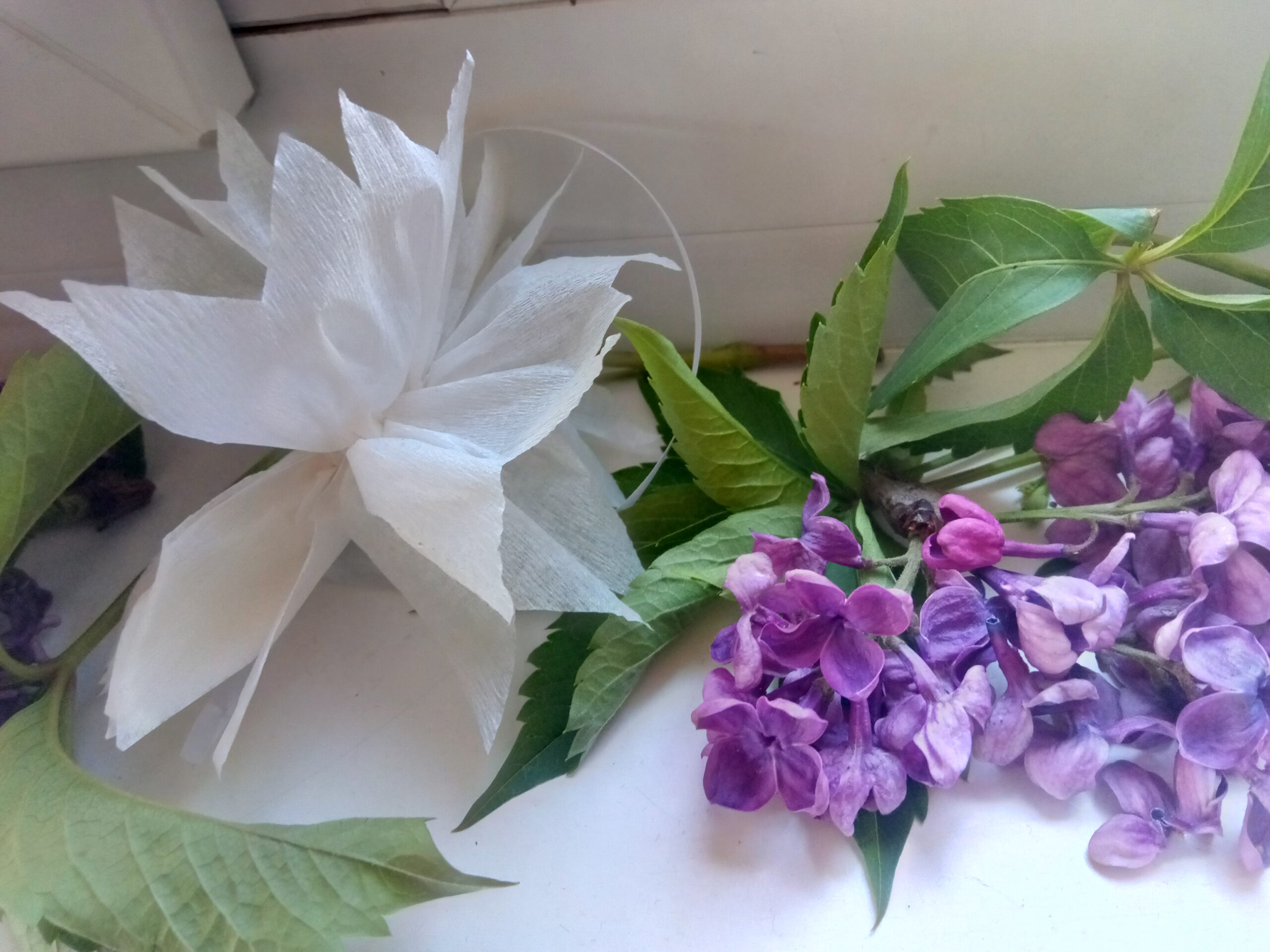 Img 20260430 120637 8