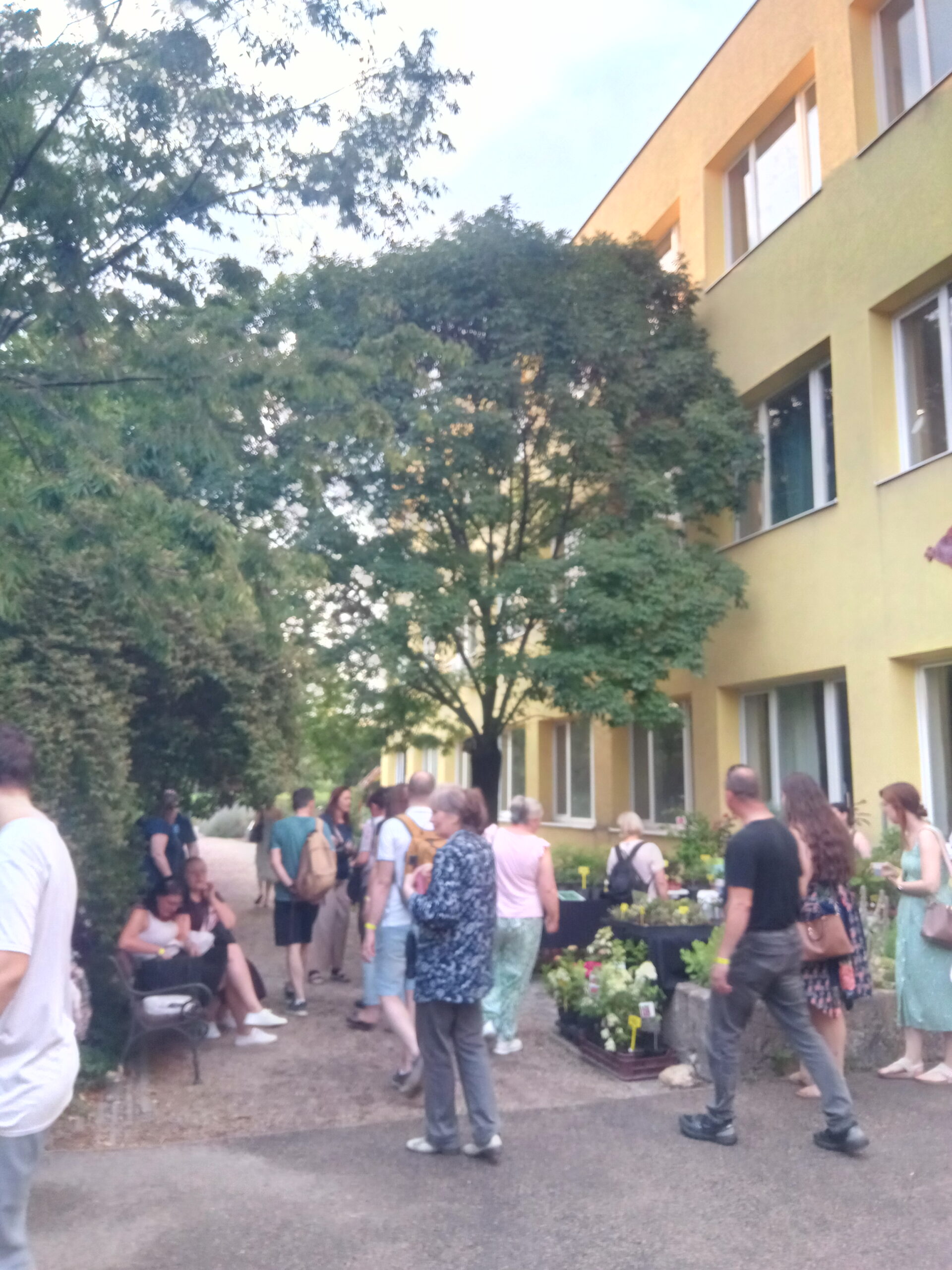 IMG 20260620 194323