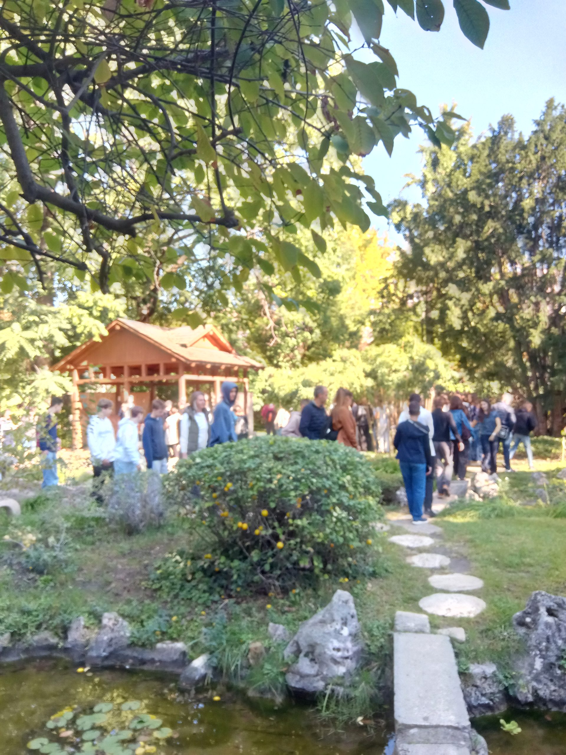 IMG 20260930 105449