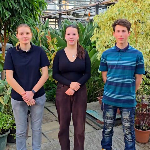 Innovátorok ZenZóna Projekt Samsunk Edison Kids Verseny 2025