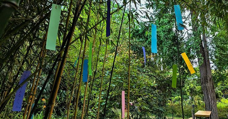 Japan tanabata fesztival Varga Márton Technikum Japánkert