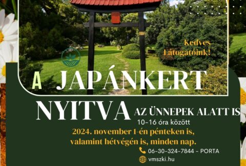 Japánkert 2024 november