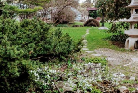 Japánkert_lépőkövek_ösvény