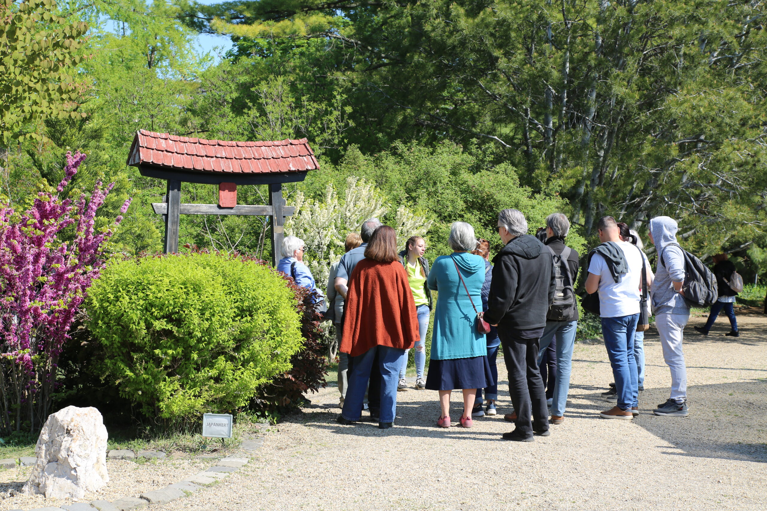 Japánkerti nap 2026 0418