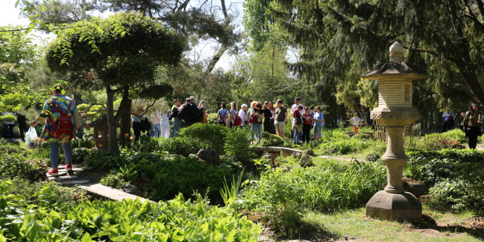 Japánkerti nap 2026 04 18