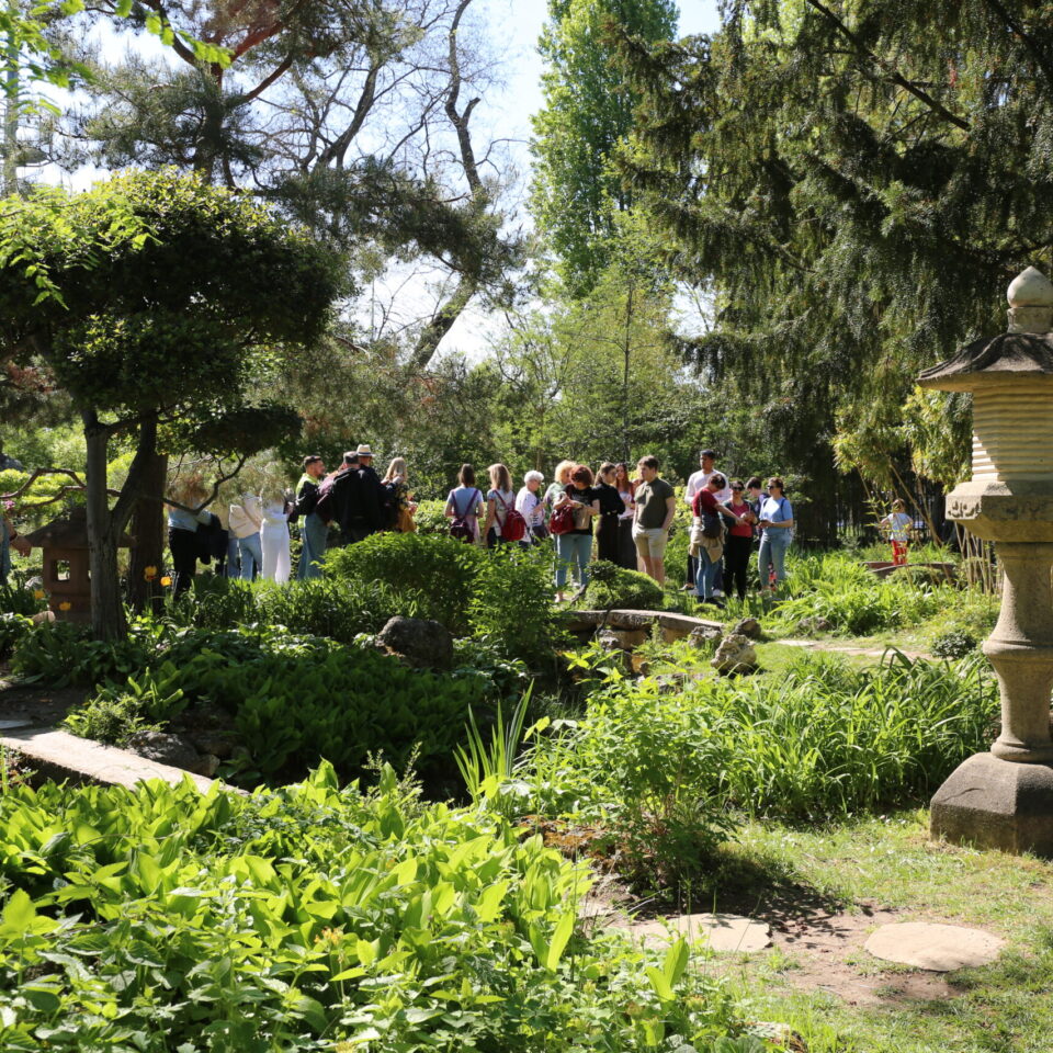 Japánkerti nap 2026 04 18