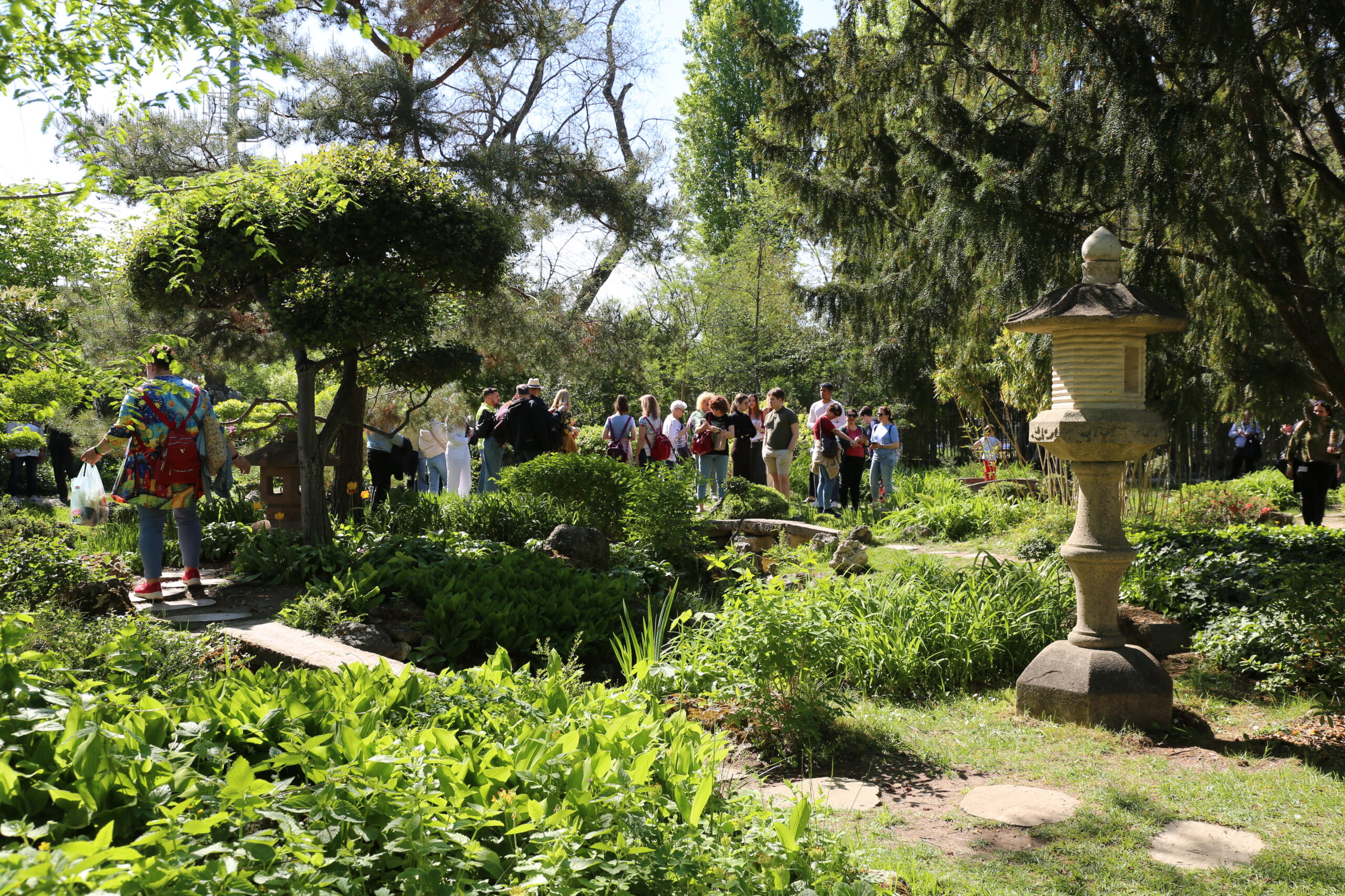 Japánkerti nap 2026 04 18