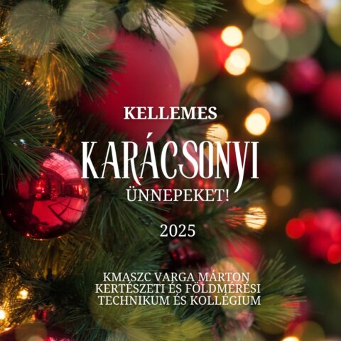Kellemes karácsonyi Ünnepeket 2025 képeslap