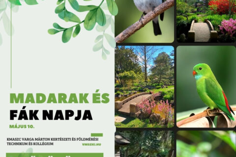 Madarak és fák napja május 10.