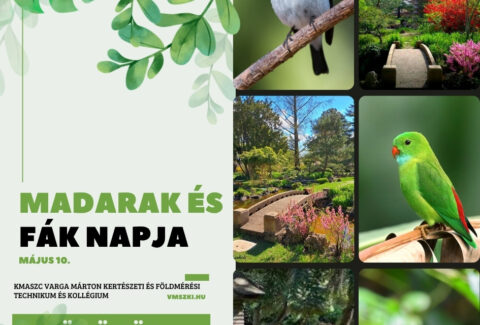 Madarak és fák napja május 10.