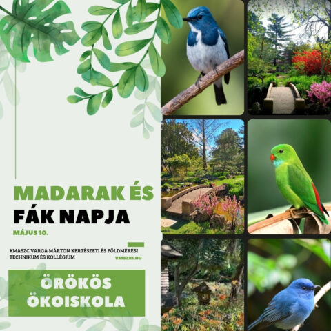 Madarak és fák napja május 10.