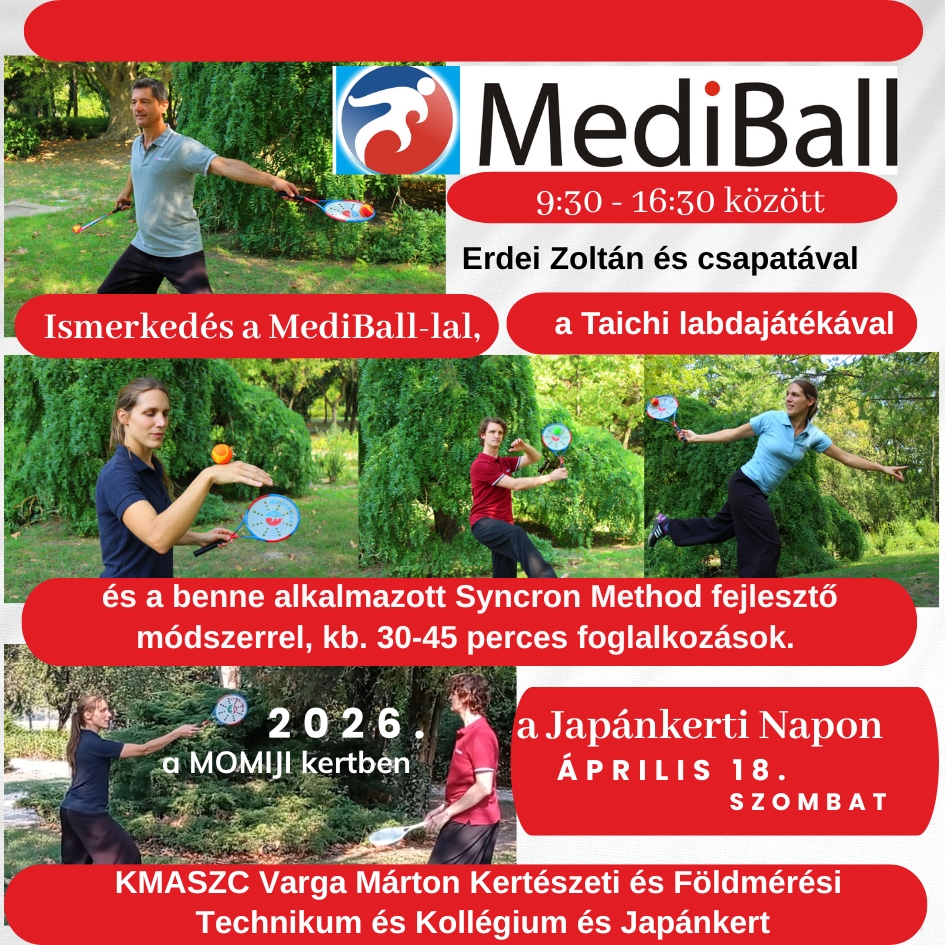 Mediball japánkerti nap 2026 