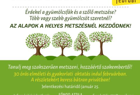 Metszőtanfolyam 2025