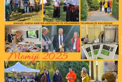Momiji 2025 montázs