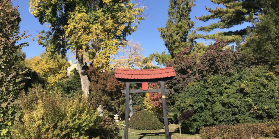 zugloi_japankert_kapuja
