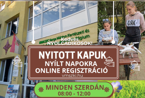Nyílt nap