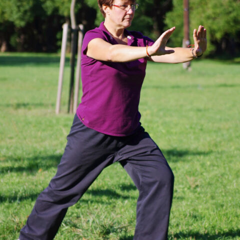 Taiji (43)