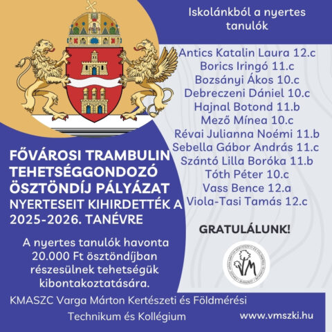 Trambulin nyertesek