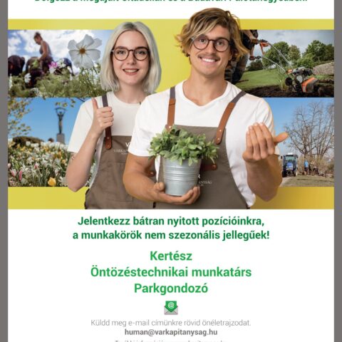 Várkapitányság kertesz allasok 2026 plakát