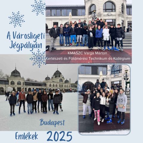 Városligeti jégpályán 2025
