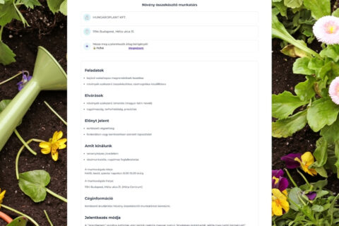 álláshirdetés