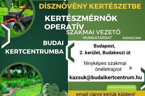 álláshirdetés budai kertcentrumba