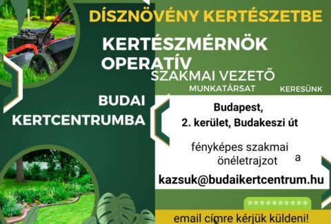 álláshirdetés budai kertcentrumba