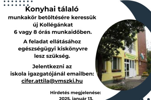 álláshirdetés konyhai kisegítő 2025_0113