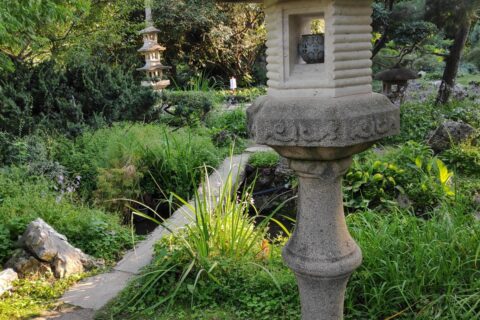 Bp japankert zuglo kolampasok