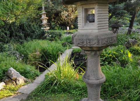 Bp japankert zuglo kolampasok