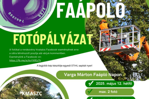 faápoló fotópályázat