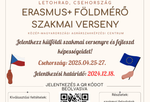 gyakorlatok hirdetése