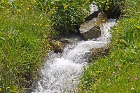 Hpgruesen mountain spring 2676322 1280