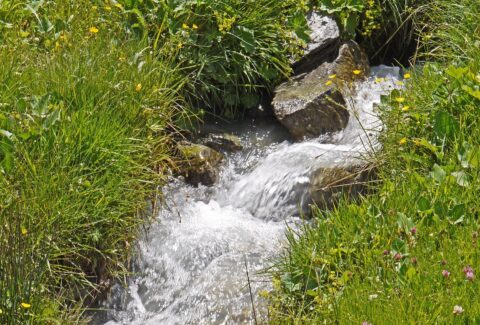 Hpgruesen mountain spring 2676322 1280