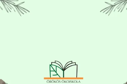 okoiskola-background