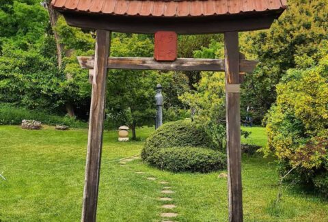 Zuglo japankert majtenyigergely