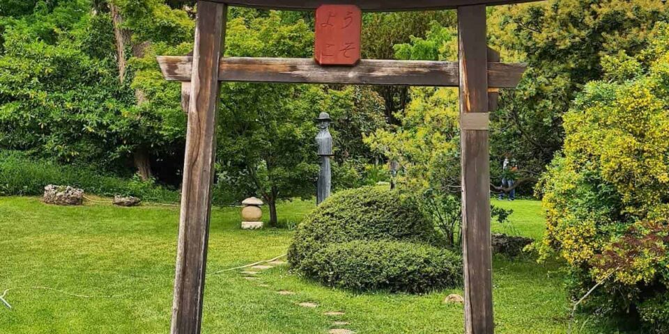Zuglo japankert majtenyigergely