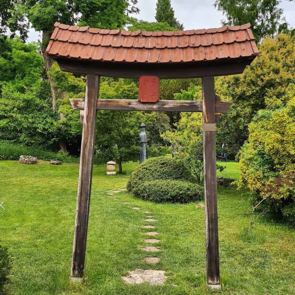 Zuglo japankert majtenyigergely